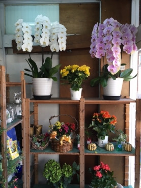 「フラワーショップ　ユーアンドミー」　（千葉県千葉市中央区）の花屋店舗写真4